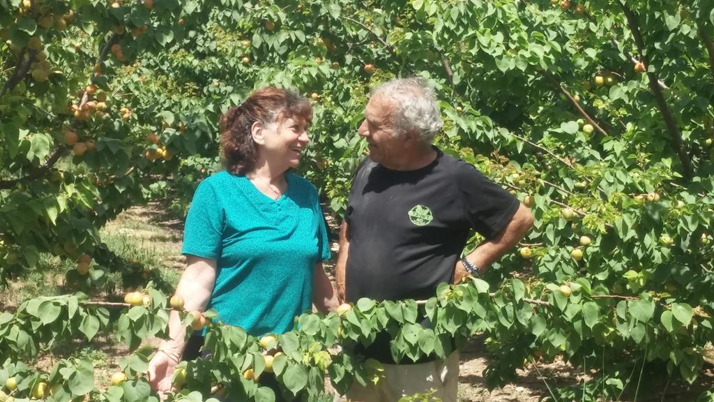 Nuriel Fruit & Guest House Sheʼar Yashuv Екстериор снимка